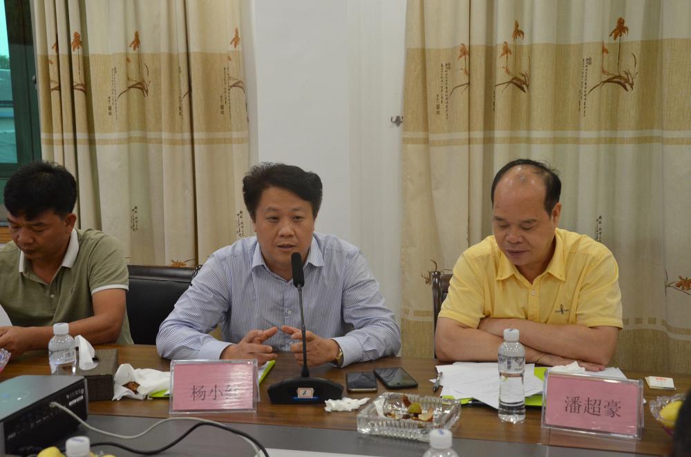 副会长杨小红积极发言.JPG
